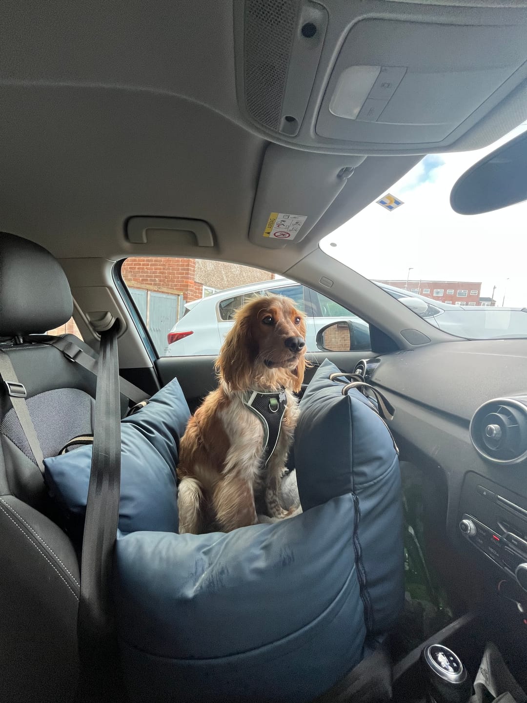 The PupPort